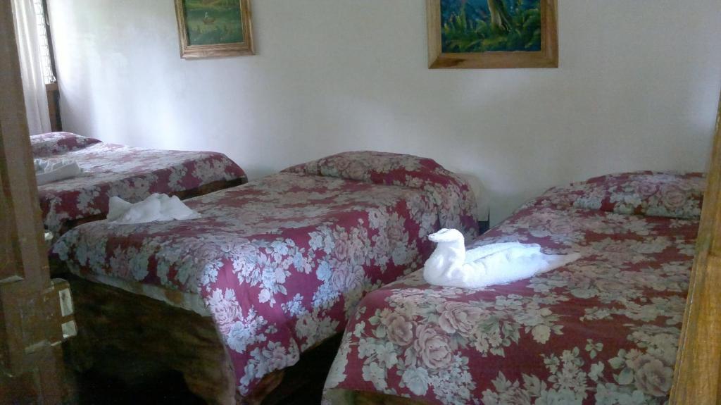 Hostel Villa Verde Monteverde Екстериор снимка