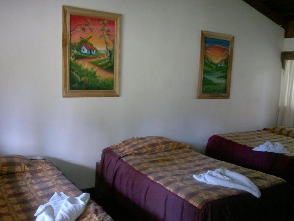 Hostel Villa Verde Monteverde Екстериор снимка