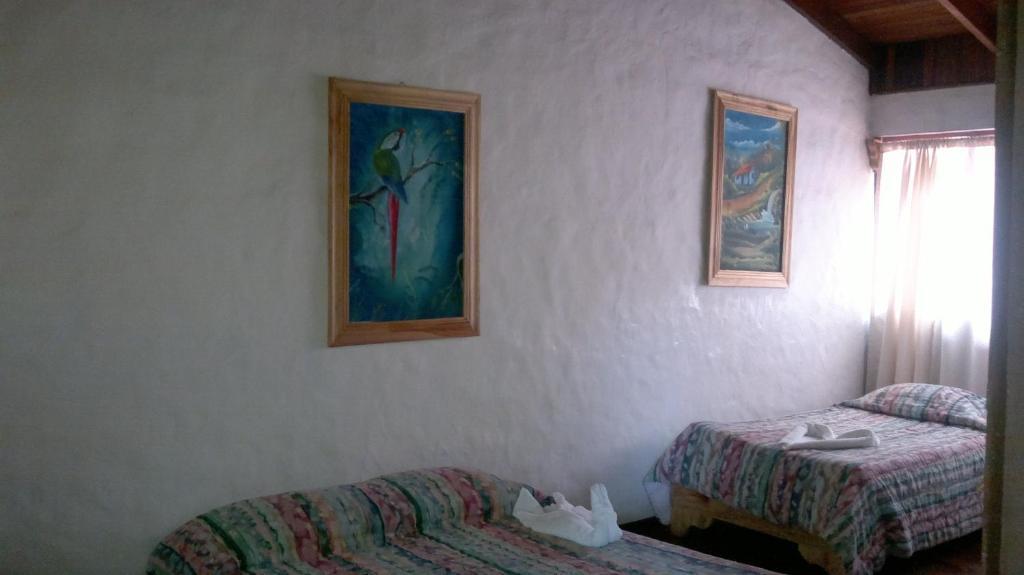 Hostel Villa Verde Monteverde Екстериор снимка