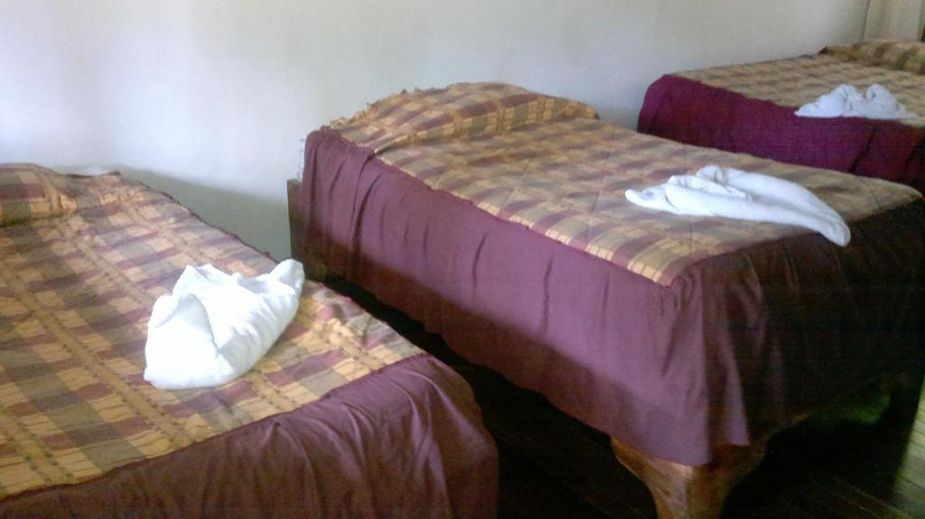 Hostel Villa Verde Monteverde Екстериор снимка
