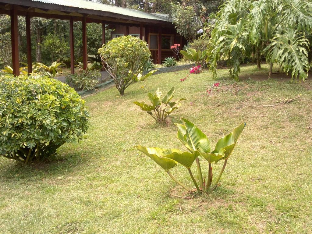 Hostel Villa Verde Monteverde Екстериор снимка